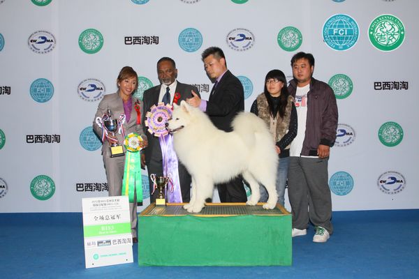 图片点击可在新窗口打开查看