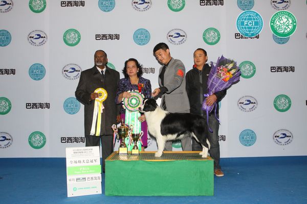 图片点击可在新窗口打开查看