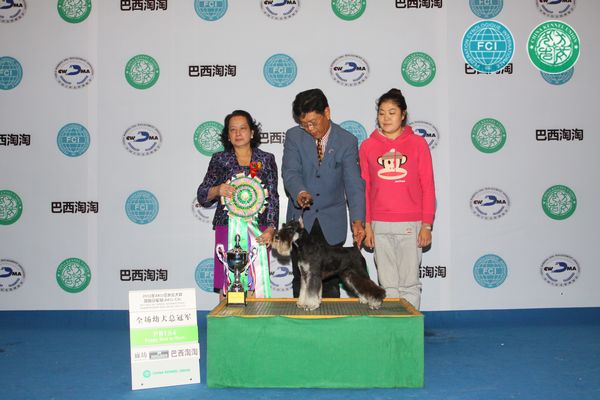 图片点击可在新窗口打开查看