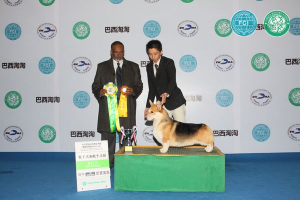 图片点击可在新窗口打开查看