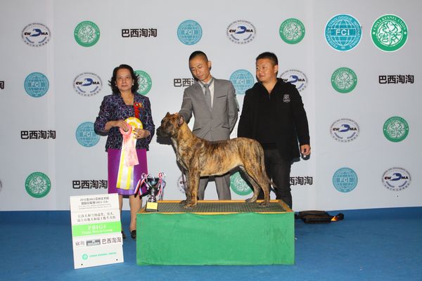 图片点击可在新窗口打开查看