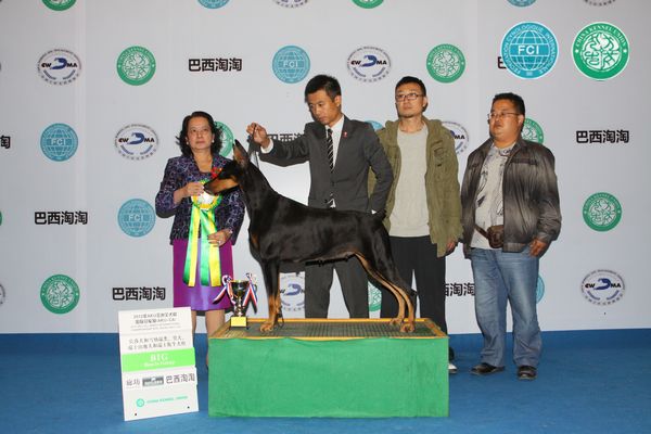 图片点击可在新窗口打开查看