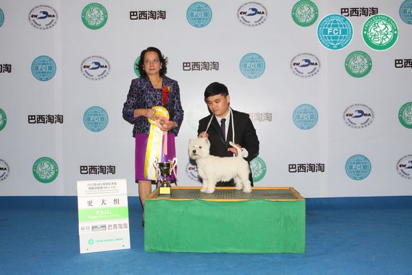 图片点击可在新窗口打开查看