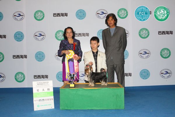 图片点击可在新窗口打开查看