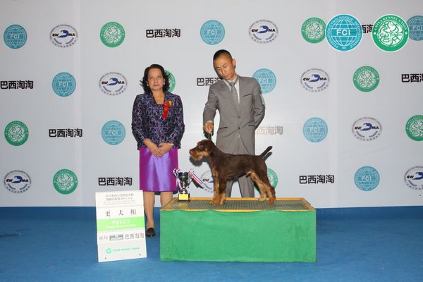 图片点击可在新窗口打开查看