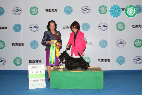 图片点击可在新窗口打开查看