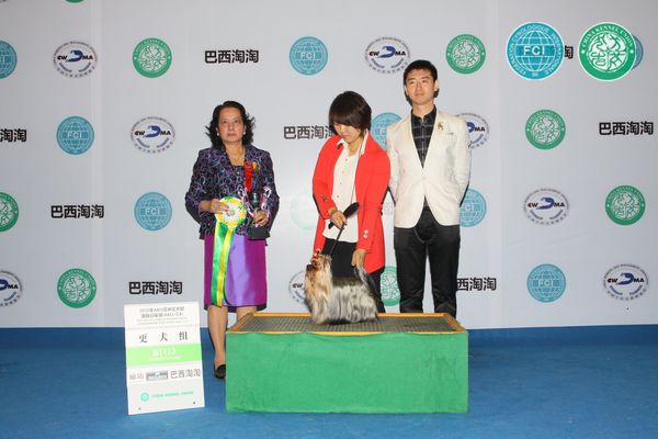 图片点击可在新窗口打开查看