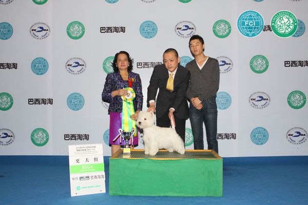 图片点击可在新窗口打开查看