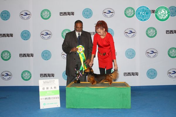 图片点击可在新窗口打开查看