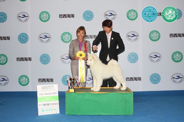 图片点击可在新窗口打开查看