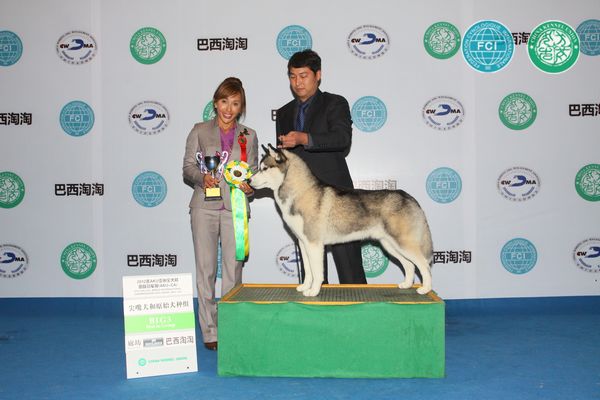 图片点击可在新窗口打开查看