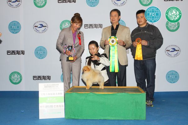 图片点击可在新窗口打开查看