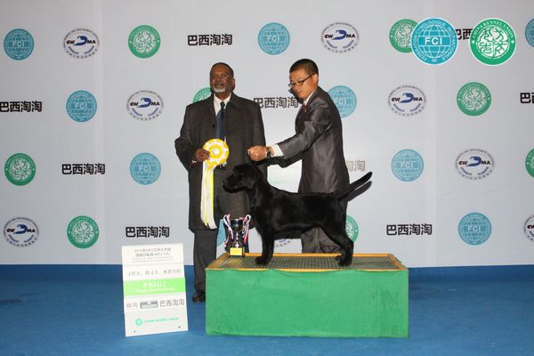 图片点击可在新窗口打开查看