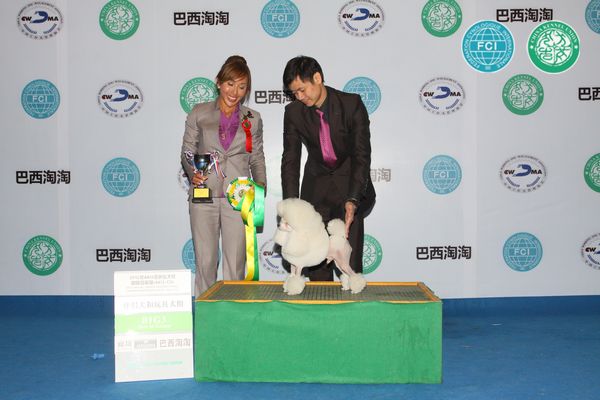 图片点击可在新窗口打开查看