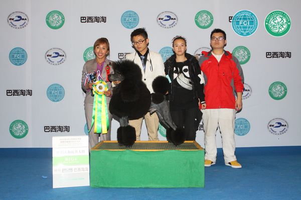 图片点击可在新窗口打开查看