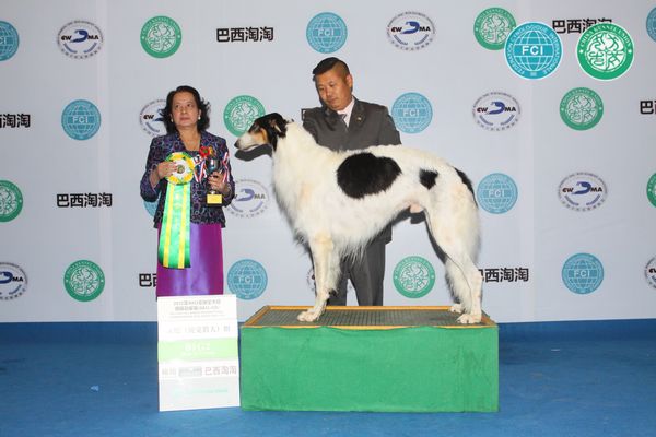 图片点击可在新窗口打开查看