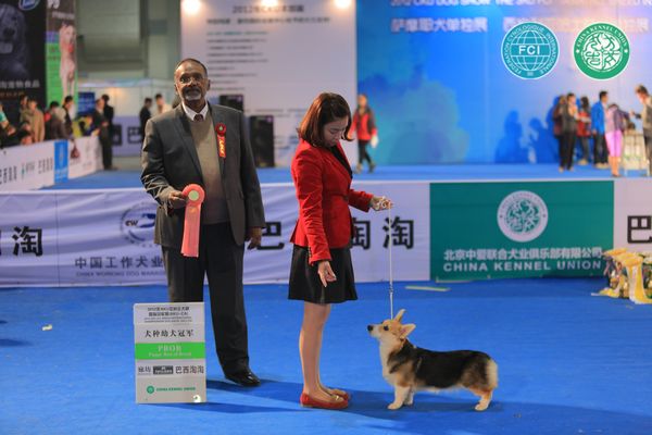 图片点击可在新窗口打开查看