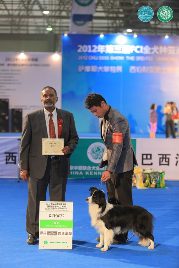 图片点击可在新窗口打开查看