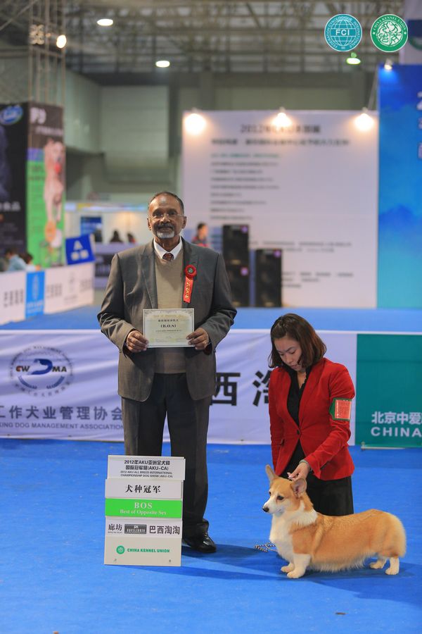 图片点击可在新窗口打开查看