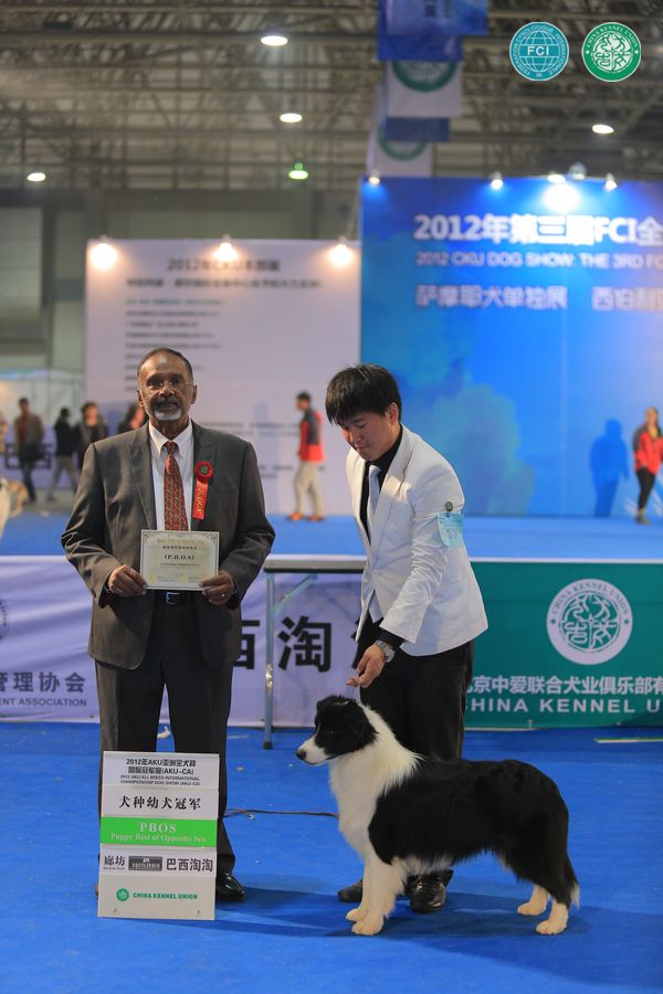 图片点击可在新窗口打开查看