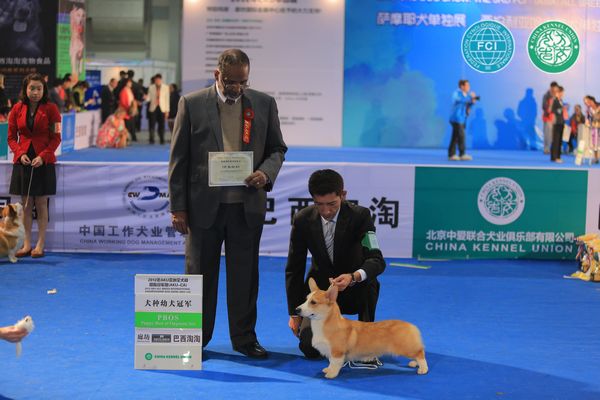 图片点击可在新窗口打开查看