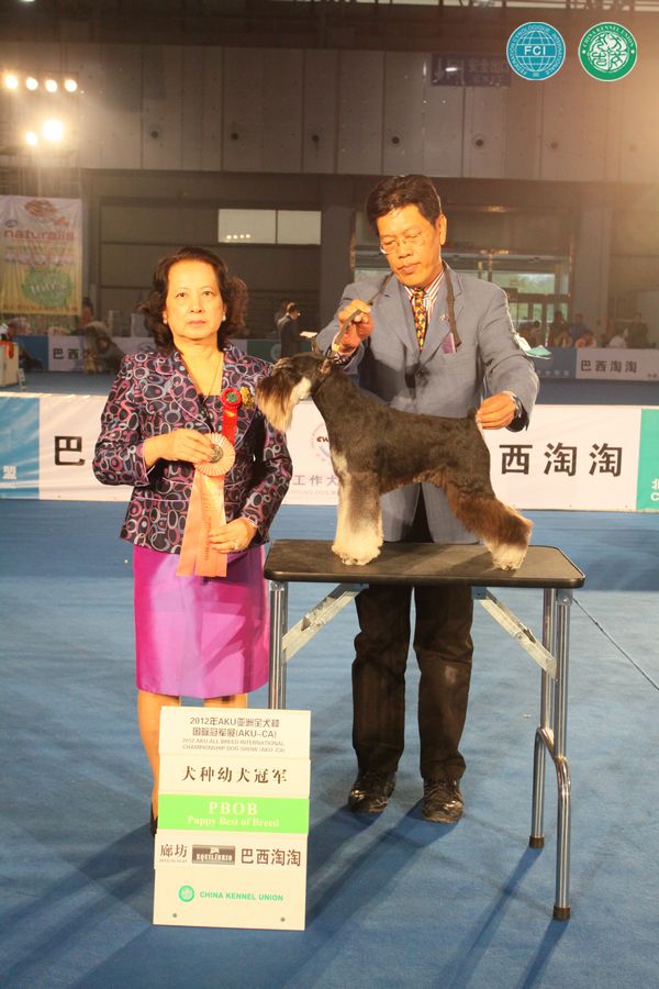 图片点击可在新窗口打开查看