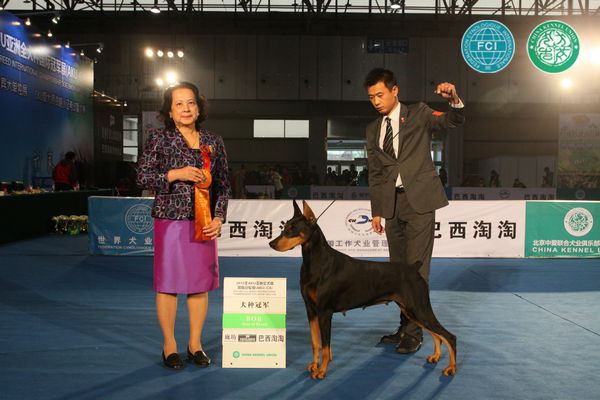 图片点击可在新窗口打开查看