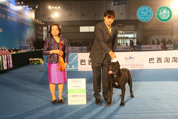 图片点击可在新窗口打开查看