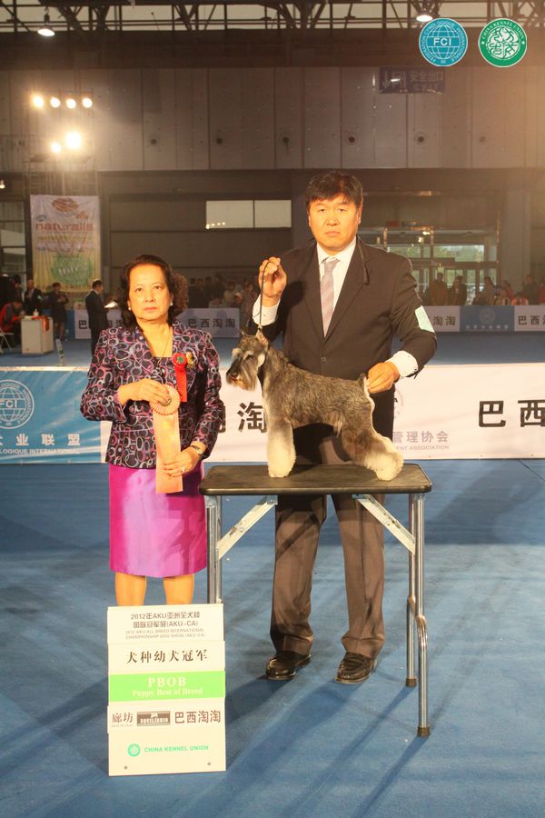 图片点击可在新窗口打开查看