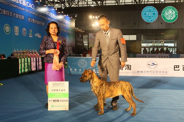 图片点击可在新窗口打开查看