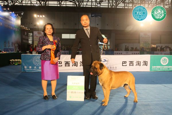 图片点击可在新窗口打开查看