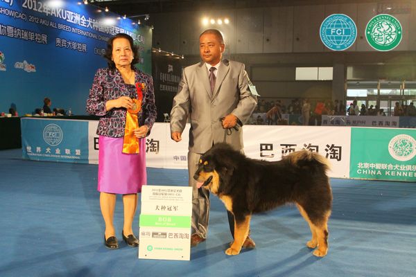 图片点击可在新窗口打开查看