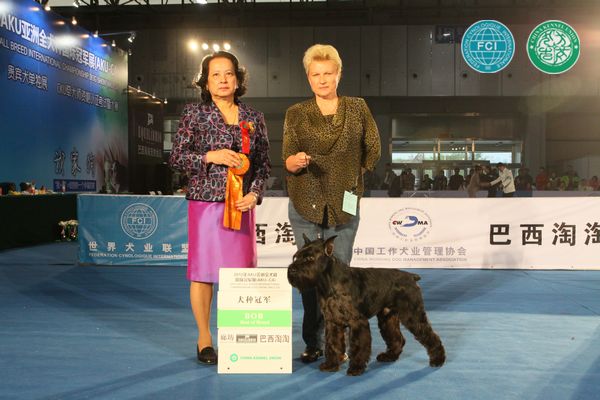 图片点击可在新窗口打开查看