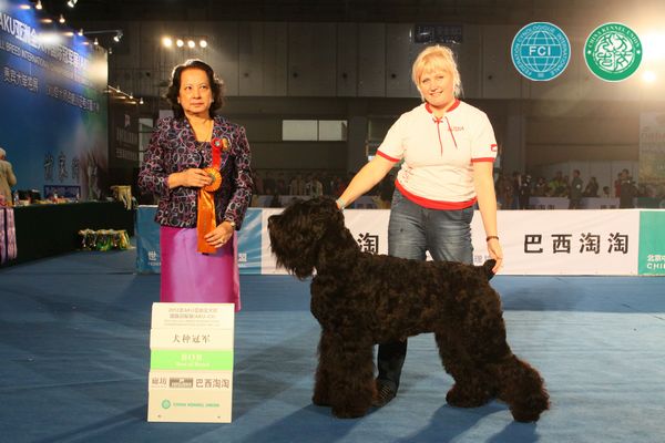 图片点击可在新窗口打开查看