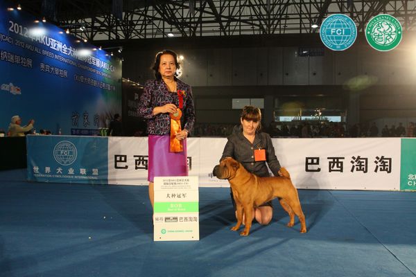 图片点击可在新窗口打开查看