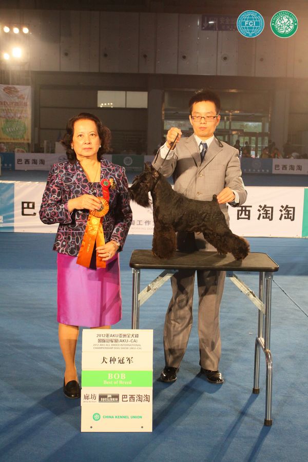 图片点击可在新窗口打开查看