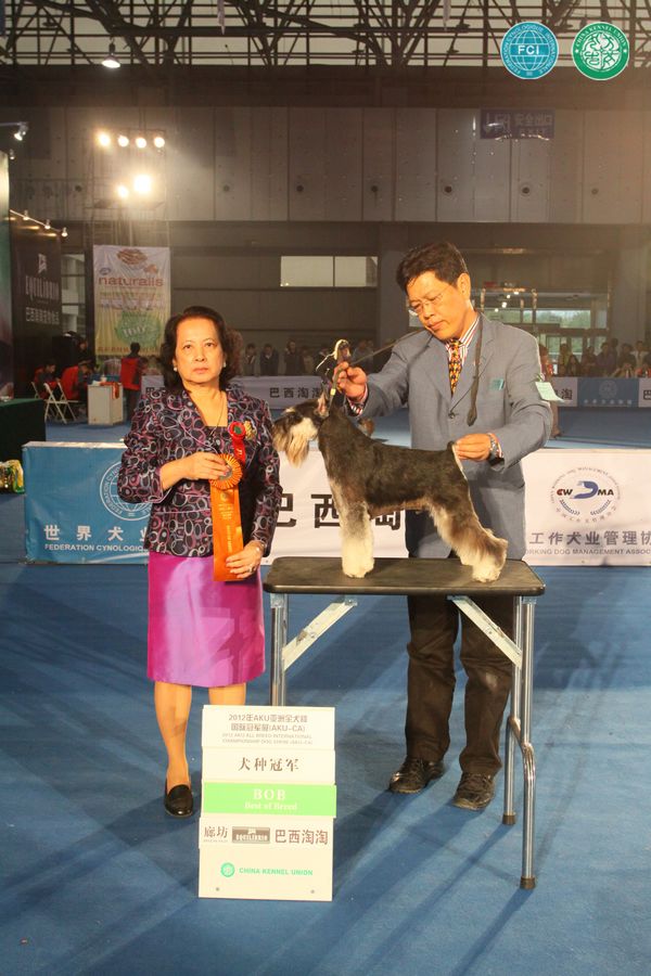 图片点击可在新窗口打开查看