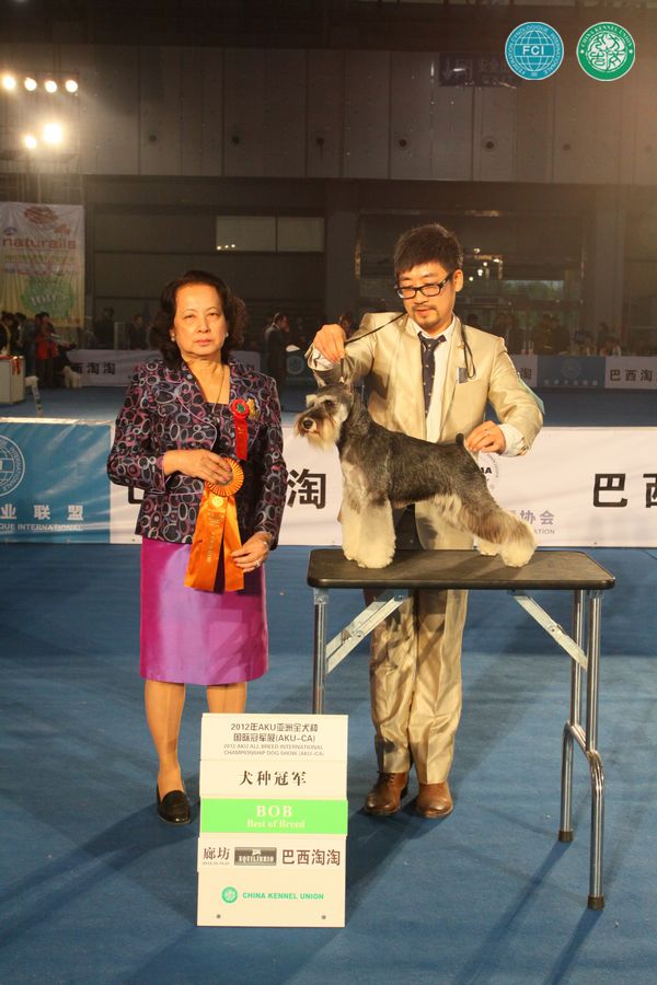 图片点击可在新窗口打开查看