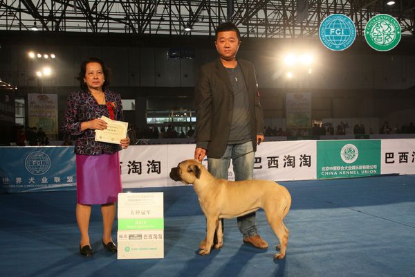 图片点击可在新窗口打开查看