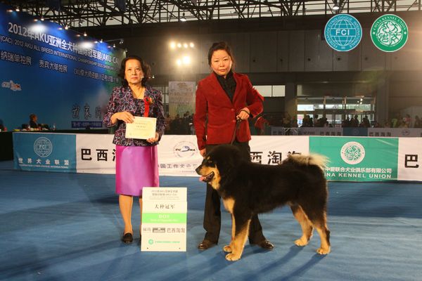 图片点击可在新窗口打开查看