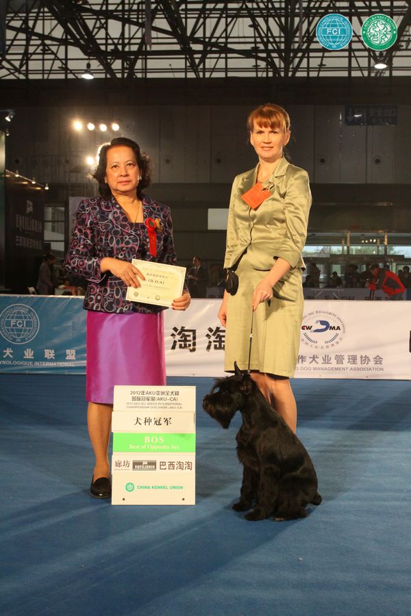 图片点击可在新窗口打开查看