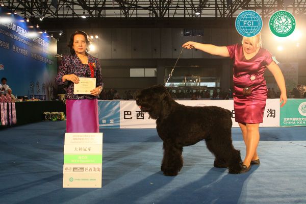 图片点击可在新窗口打开查看