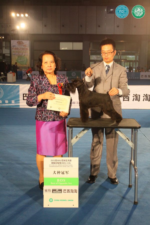 图片点击可在新窗口打开查看