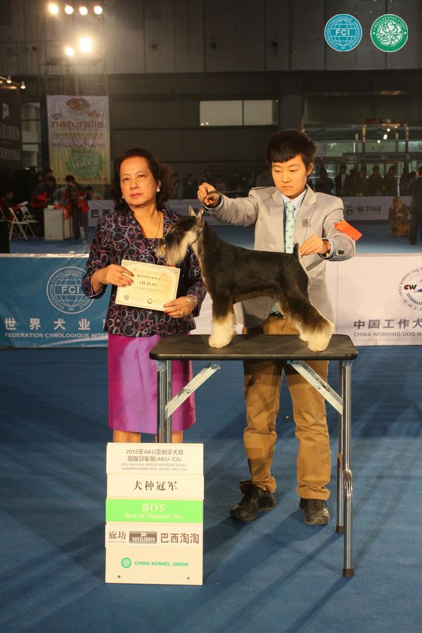 图片点击可在新窗口打开查看