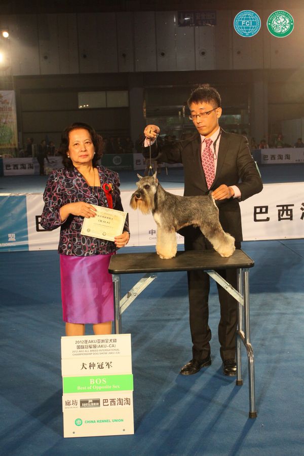 图片点击可在新窗口打开查看