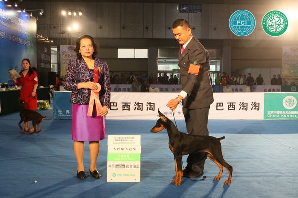 图片点击可在新窗口打开查看