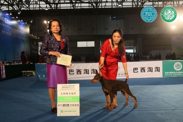 图片点击可在新窗口打开查看