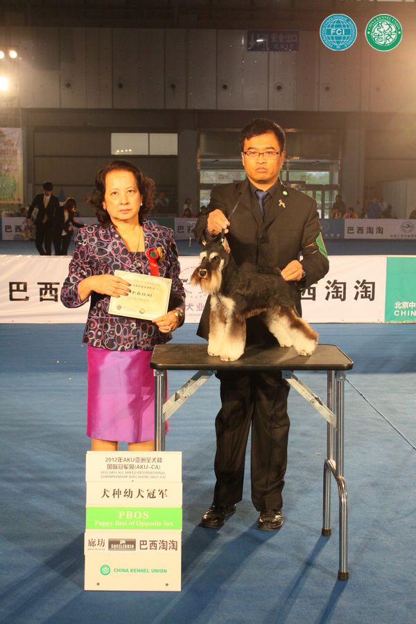 图片点击可在新窗口打开查看