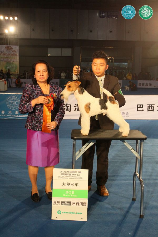 图片点击可在新窗口打开查看