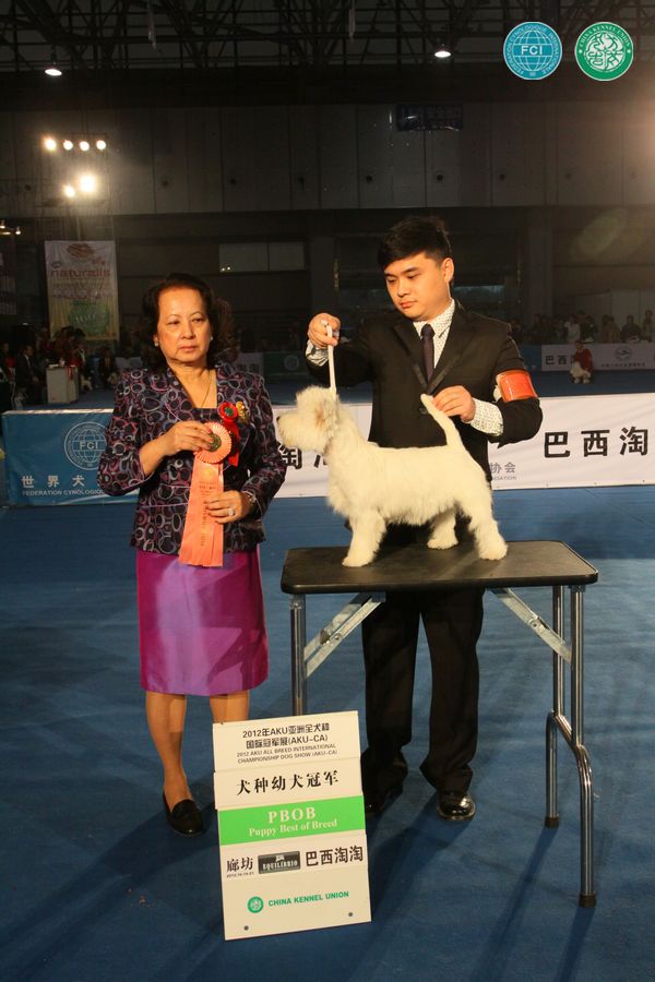 图片点击可在新窗口打开查看